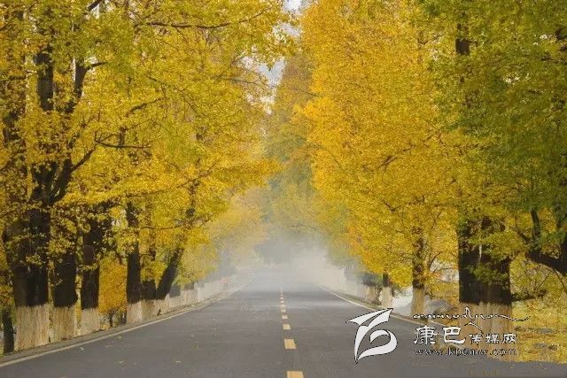 康定新都橋，有一條黃金大道通往夢中的天堂